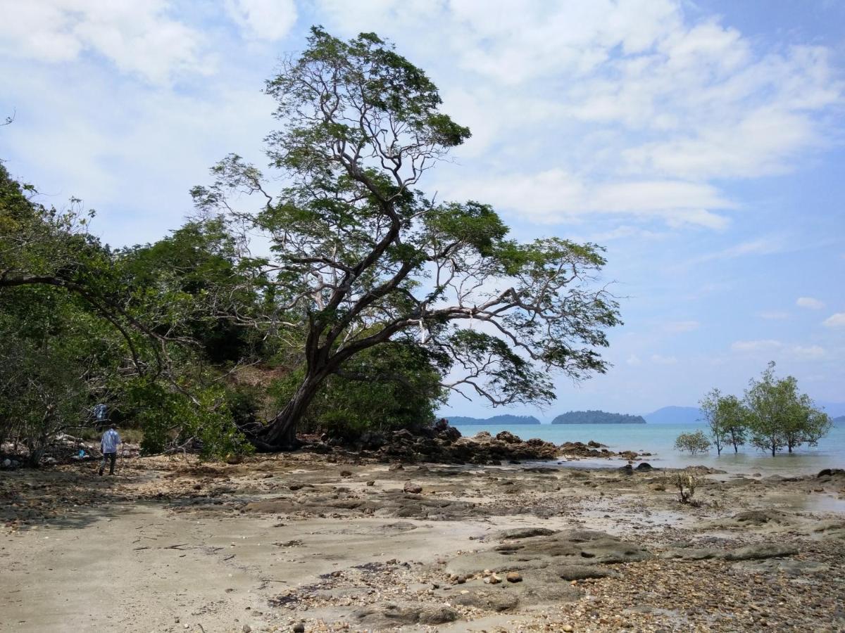 Jansom Bungalow 2 Koh Phayam Eksteriør bilde